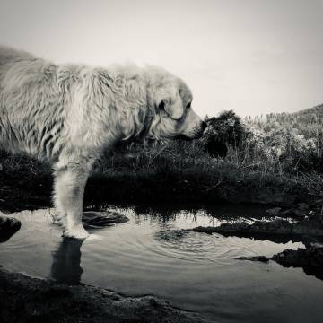 Good-Bajki do rozmów z młodzieżą na trudne tematy