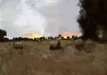 Aleksandra Wijata, Rżysko