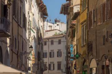 Adrian Bączyk, Motyw ze Sieny