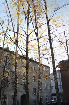 Dorota Franciszkiewicz