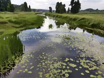 Kamil Goszczyński, Staw