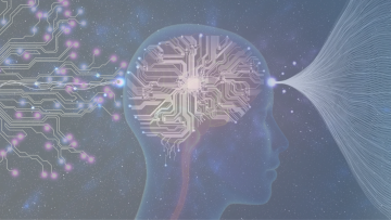 Ustawa o ochronie zdrowia psychicznego w praktyce - obowiązki, ryzyka, odpowiedzialność