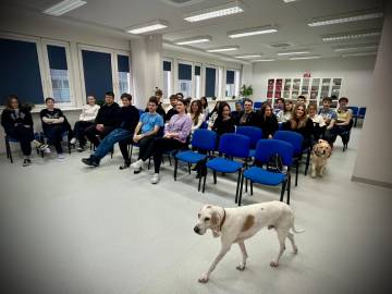 Zoofizjoterapia w praktyce – warsztaty na kierunku Fizjoterapia